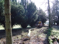 2012-03-17 016